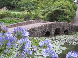 Lakeside-with-bridge