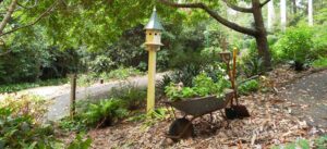 Perennial Garden - Wheelbarrow