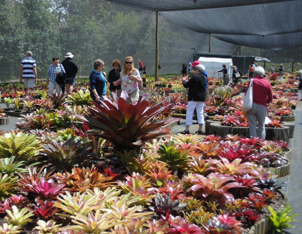 Events Tamborine Mountain Botanic Gardens