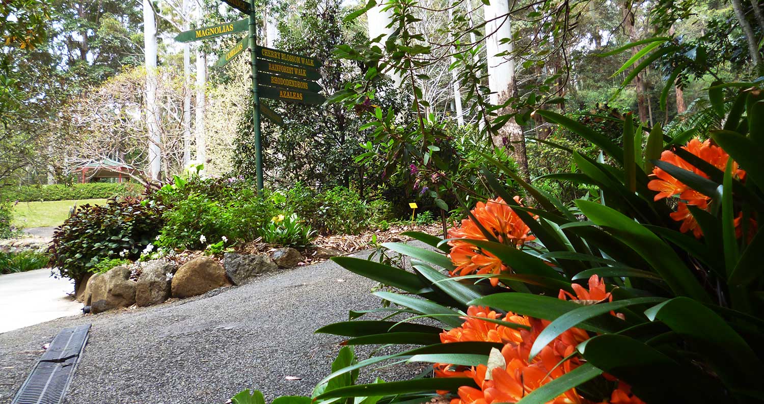 hillside Tamborine Mountain Botanic Gardens