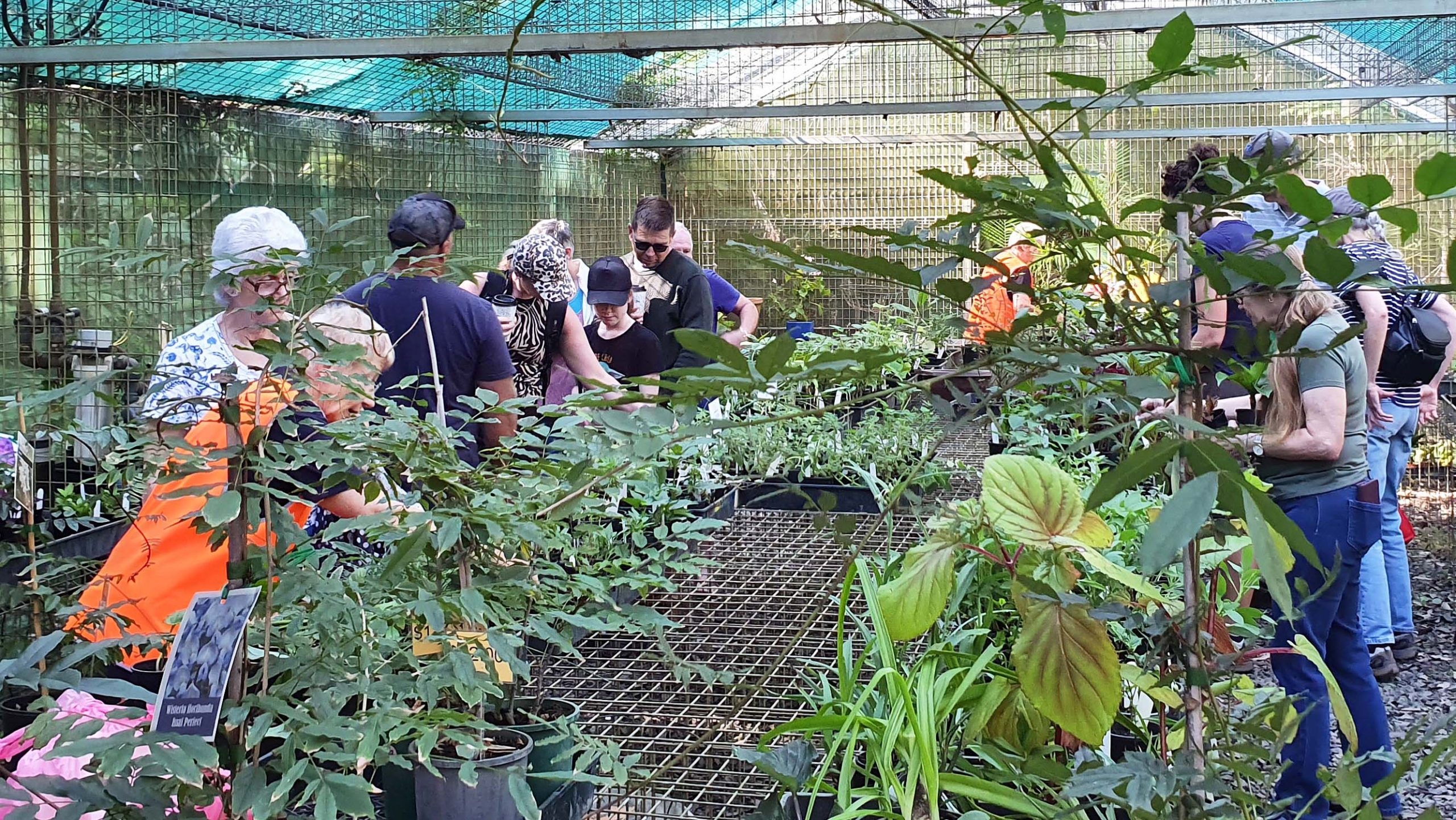 Volunteers applaud Botanic Gardens plant sale success